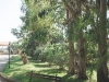 ogolne_25