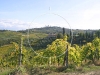 san_gimignano_toskania_06